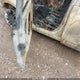 3GNKBGRS3KS551980 2019 Chevrolet Blazer auction photo thumbnail 9