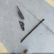 2HGFC2F56JH537163 2018 Honda Civic Lx auction photo thumbnail 12