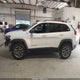1C4PJMBX1MD207525 2021 Jeep Cherokee Trailhawk 4X4 auction photo thumbnail 14