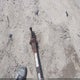 5HABE12197N007536 2007 Trailer Trailer auction photo thumbnail 7