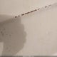 2B7HB23T0FK264535 1985 Dodge Ram Van B250 auction photo thumbnail 15