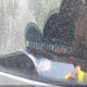 JN8AS5MT4DW553502 2013 Nissan Rogue S auction photo thumbnail 9