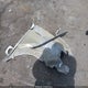 5FNYF38479B009481 2009 Honda Pilot Ex auction photo thumbnail 12