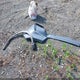 7FARS6H98RE055032 2024 Honda Cr-V Hybrid Sport Touring auction photo thumbnail 12