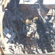 JTEZU5JR3B5016099 2011 Toyota 4Runner Limited V6 auction photo thumbnail 8