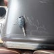 1FTFW1CF5BFA32537 2011 Ford F-150 Lariat auction photo thumbnail 11