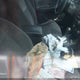2G1WB5E37G1116114 2016 Chevrolet Impala Limited Lt auction photo thumbnail 5