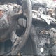 1FMCU0JX1FUB38446 2015 Ford Escape Titanium auction photo thumbnail 11
