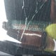 2HGFC4B07JH305855 2018 Honda Civic Lx-P auction photo thumbnail 9