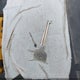 4T1SK12W4PU318891 1993 Toyota Camry Le auction photo thumbnail 11