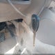 1HGCG5655WA076004 1998 Honda Accord Ex auction photo thumbnail 11