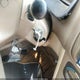 2T1BR12E1YC318448 2000 Toyota Corolla Ce auction photo thumbnail 11