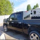 2GCEK233291141669 2009 Chevrolet Silverado 1500 Lt auction photo thumbnail 13