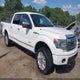 1FTFW1ETXDFD15103 2013 Ford F-150 Platinum auction photo thumbnail 1