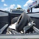 1FD8X3G69KED95727 2019 Ford F-350 Chassis Xl auction photo thumbnail 2