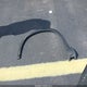 5FNYG2H41RB002971 2024 Honda Pilot Ex-L auction photo thumbnail 12