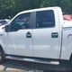 1FTEW1C84AFA44769 2010 Ford F-150 Fx2 Sport/Xl/Xlt auction photo thumbnail 15