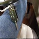 2GKFLXE52C6250807 2012 GMC Terrain Slt-2 auction photo thumbnail 11