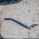 1FTEW1EP4HFB04130 2017 Ford F-150 Xlt auction photo thumbnail 12