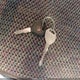 3B7HF13ZX1G805096 2001 Dodge Ram 1500 St auction photo thumbnail 11