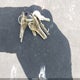 4YDF276244A214699 2014 22802 Keystone auction photo thumbnail 11