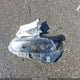 1N4BL4CV3RN340893 2024 Nissan Altima Sr Fwd auction photo thumbnail 12