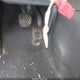 3N1CP5CV1NL515339 2022 Nissan Kicks Sv Xtronic Cvt auction photo thumbnail 11