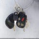 1GHDX03E3XD268929 1999 Oldsmobile Silhouette Premiere Edition auction photo thumbnail 11