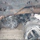 1M0835RATLM030548 2020 Other Other auction photo thumbnail 9