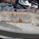 KNDPC3AC0G7871711 2016 Kia Sportage Ex auction photo thumbnail 9