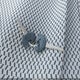 3B7HF13Z5VG796474 1997 Dodge Ram 1500 St auction photo thumbnail 11