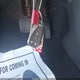 KL79MTSL9NB124720 2022 Chevrolet Trailblazer Fwd Rs auction photo thumbnail 11