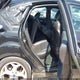 1FADP3L91EL460143 2014 Ford Focus St auction photo thumbnail 8