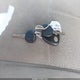 1GNDS13S462127417 2006 Chevrolet Trailblazer Ls auction photo thumbnail 11