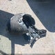 KM8KNDAF2PU217648 2023 Hyundai Ioniq 5 Sel auction photo thumbnail 12