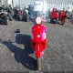 ZAPM459L985007686 2008 Vespa Gts 250 auction photo thumbnail 5