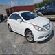 5NPEB4AC8DH803583 2013 Hyundai Sonata Gls auction photo thumbnail 1