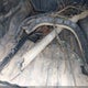1GCPTFEK6S1148086 2025 Chevrolet Colorado 4Wd Zr2 auction photo thumbnail 12