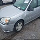 1G1ZU54845F167113 2005 Chevrolet Malibu Lt auction photo thumbnail 6
