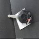 1FMCU9D79BKC38770 2011 Ford Escape Xlt auction photo thumbnail 11