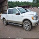 1FTFW1EV8AFA21468 2010 Ford F-150 Fx4/Harley-Davidson/King Ranch/Lariat/Platinum/Xl/Xlt auction photo thumbnail 13