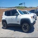 ZACCJBCB3HPG51731 2017 Jeep Renegade Trailhawk 4X4 auction photo thumbnail 13