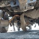 1C6SRFBT1MN622633 2021 Ram 1500 auction photo thumbnail 18