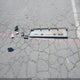 JTEBU14R150062666 2005 Toyota 4Runner Sr5 V6 auction photo thumbnail 12