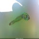 JM3LW28J550537773 2005 Mazda Mpv Lx auction photo thumbnail 11