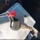 JM1BK32F371683239 2007 Mazda Mazda3 I auction photo thumbnail 11