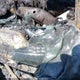 1GNSCBKCXFR539451 2015 Chevrolet Tahoe Lt auction photo thumbnail 9