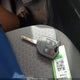 1FMCU9GD1JUD48670 2018 Ford Escape Se auction photo thumbnail 11