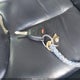 1C4BJWEG5GL117872 2016 Jeep Wrangler Unlimited Sahara auction photo thumbnail 11