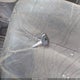 4V4NC9GHX6N404906 2006 Volvo Vn Vnl auction photo thumbnail 10